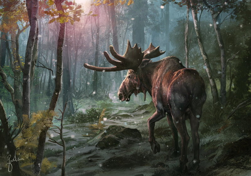 Moose in Forest — Green