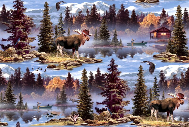 Moose in Forest Lake