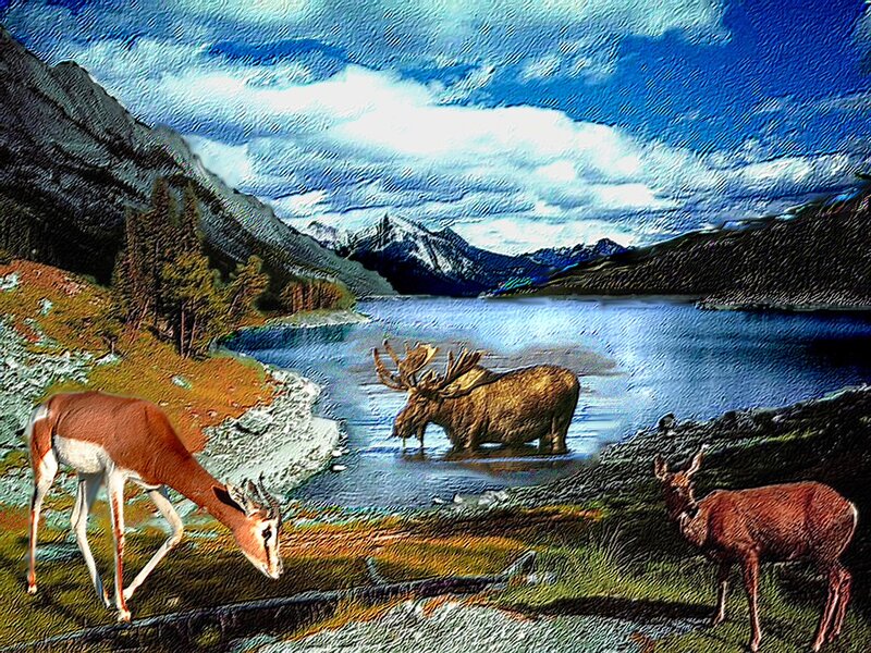 Moose in Lake with Deer