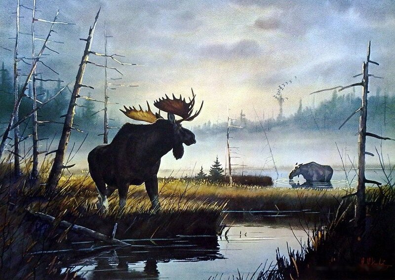 Moose in Marsh — Brown