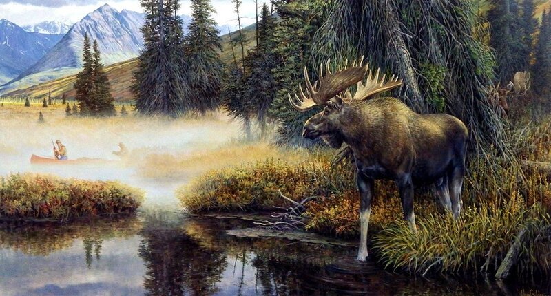 Moose in Marsh — Green