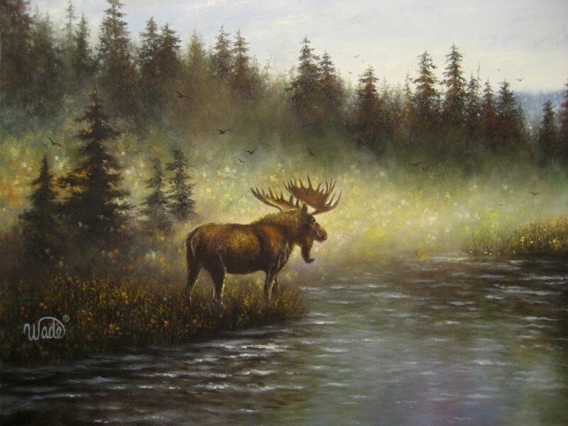 Moose in River