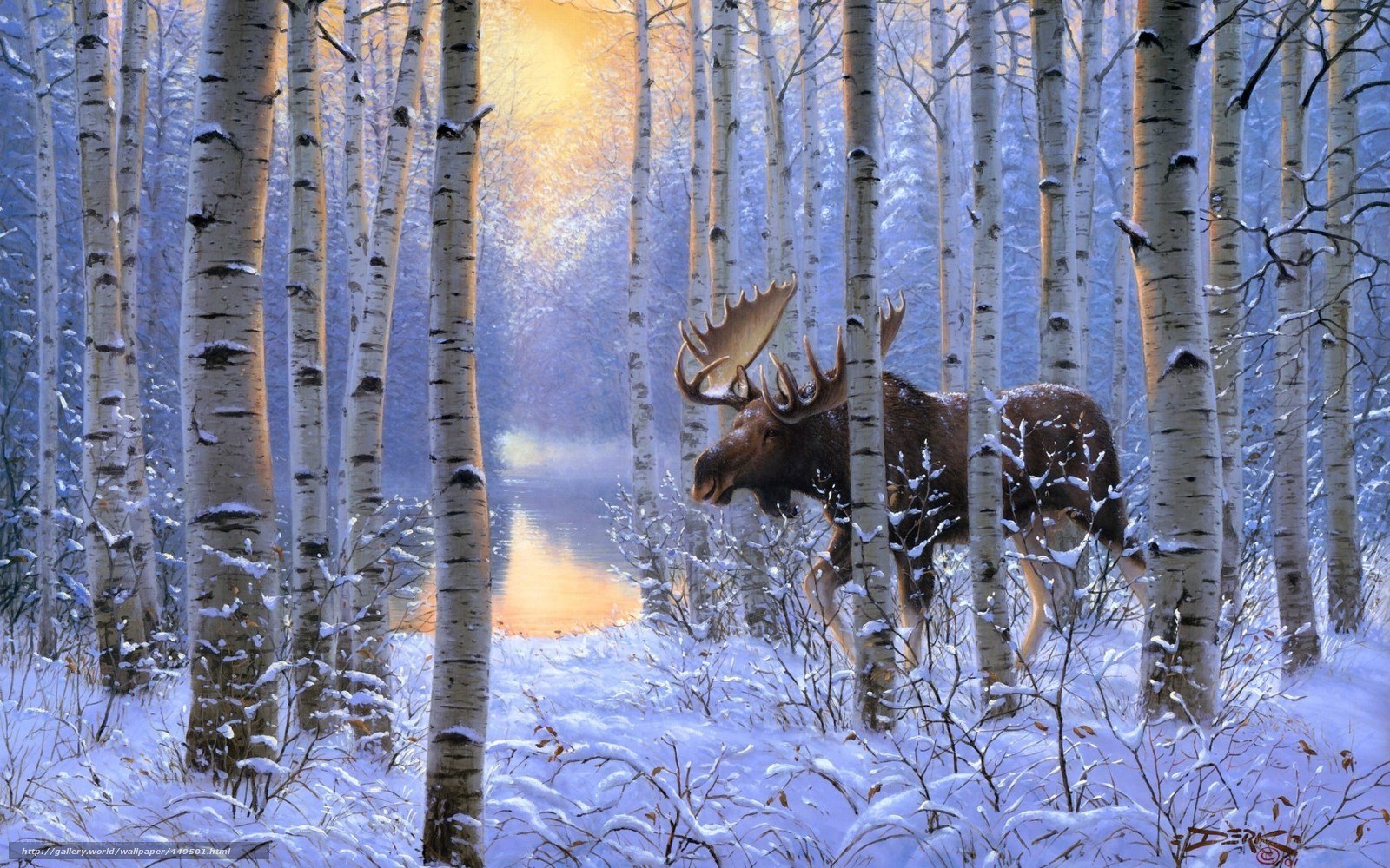 Moose in snowy birch forest