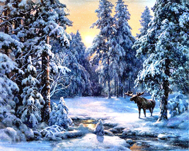 Moose in Snowy Forest — Blue