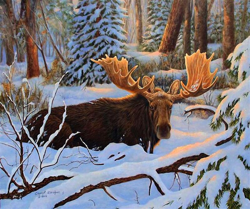 Moose in Snowy Forest — Brown, Serene