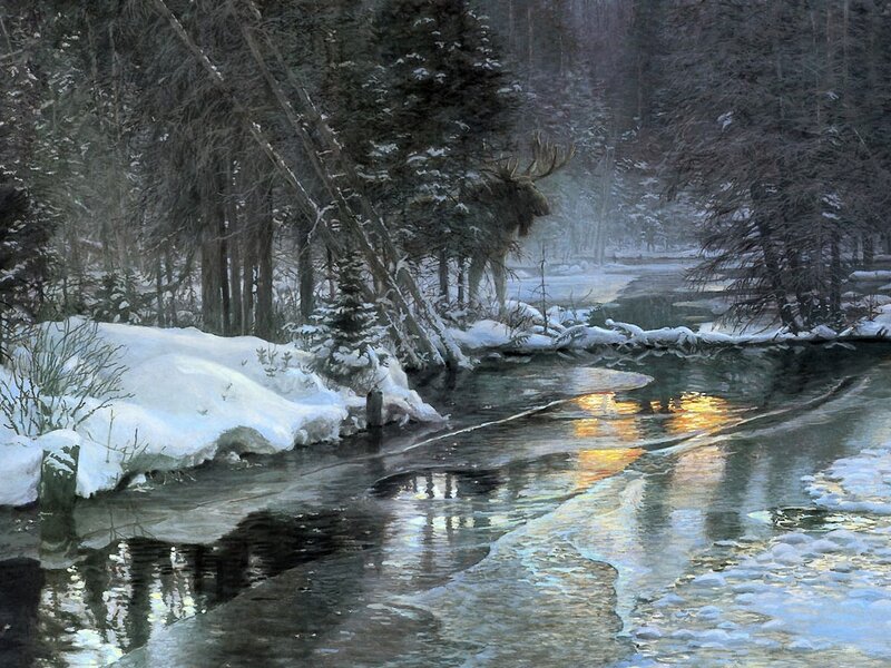 Moose in Winter Forest