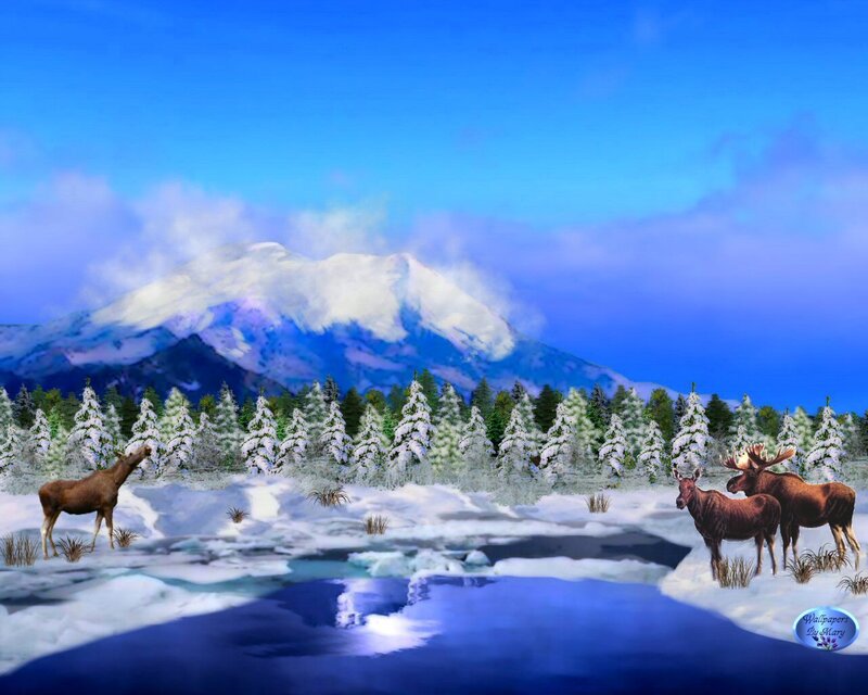 Moose in Winter Landscape — Blue