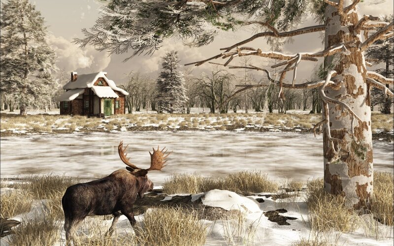 Moose in winter landscape