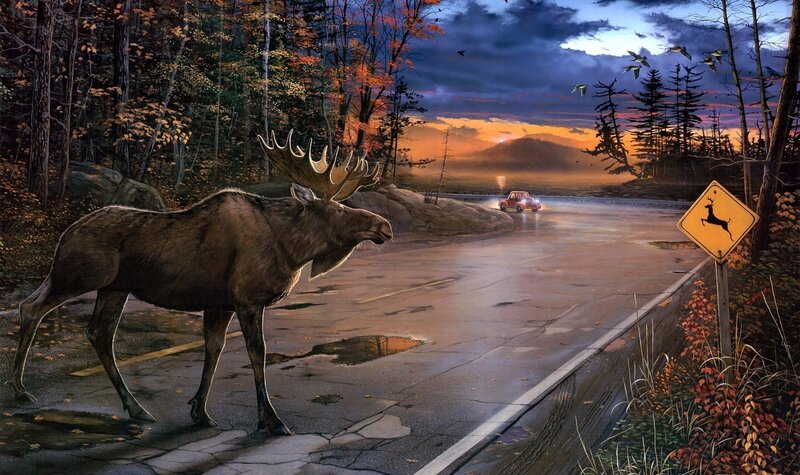 Moose on Road — Brown