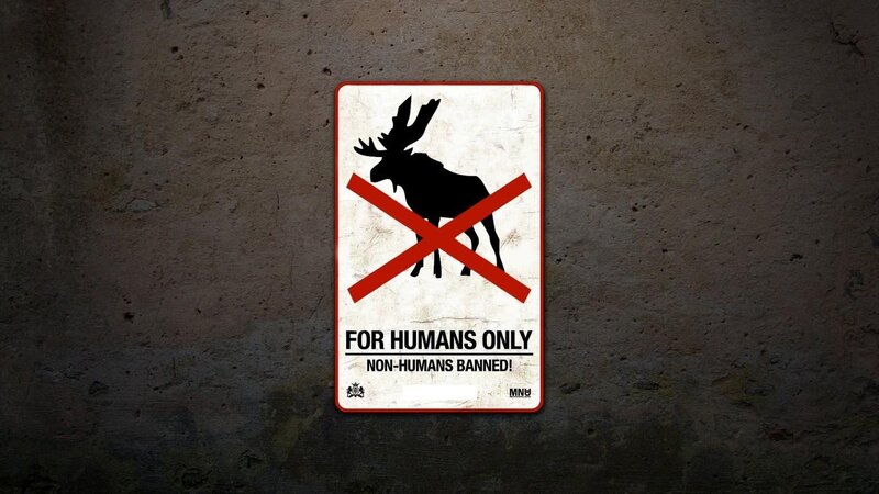 Moose Sign on Wall
