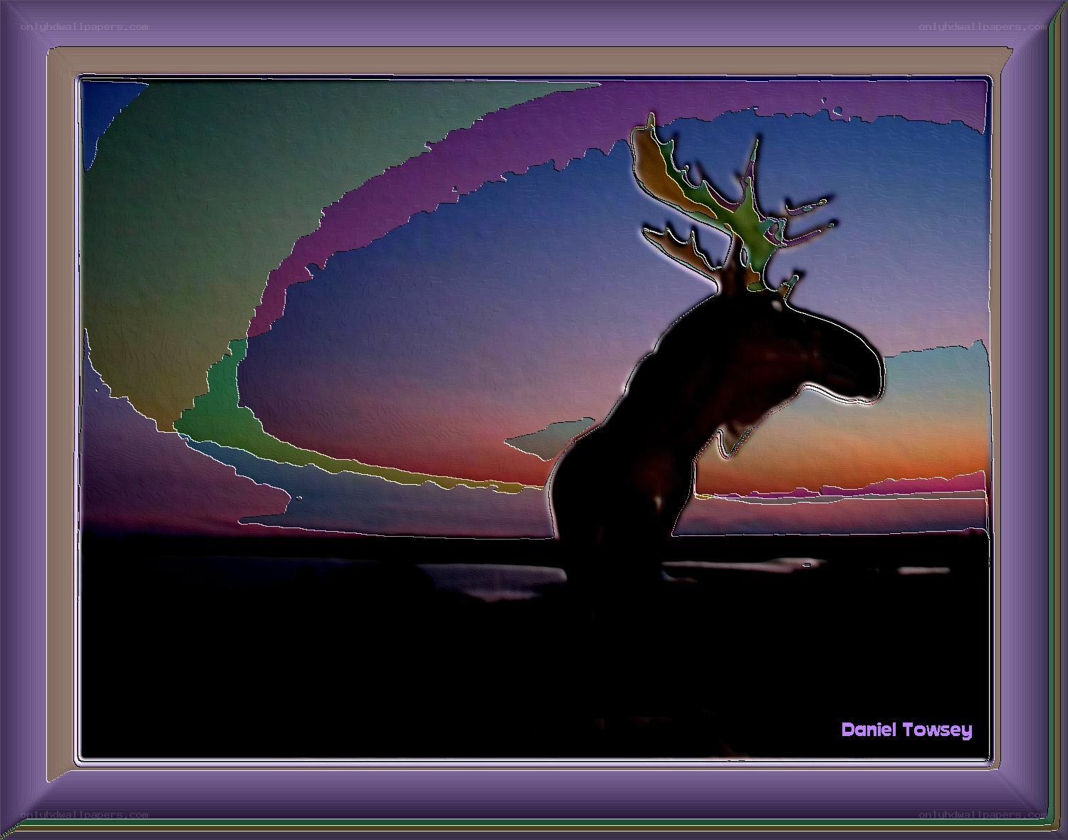 Moose Silhouette at Sunset