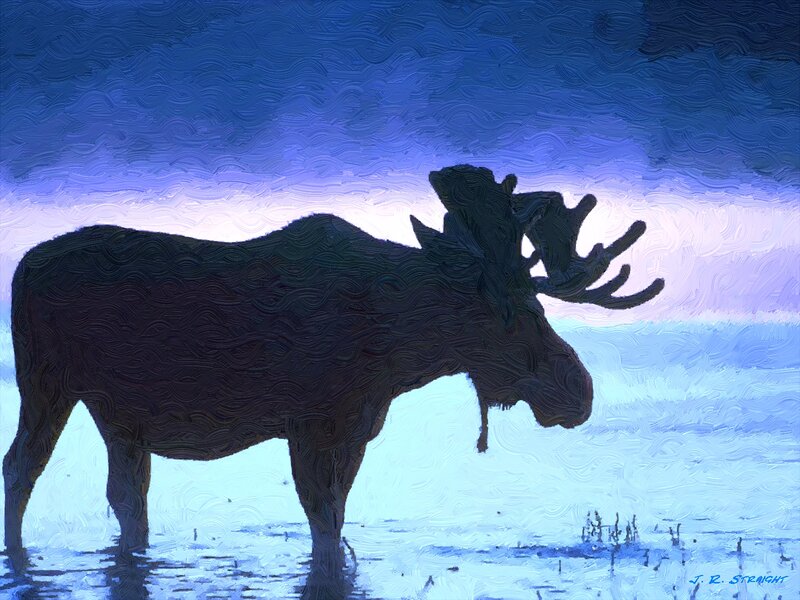 Moose Silhouette — Blue