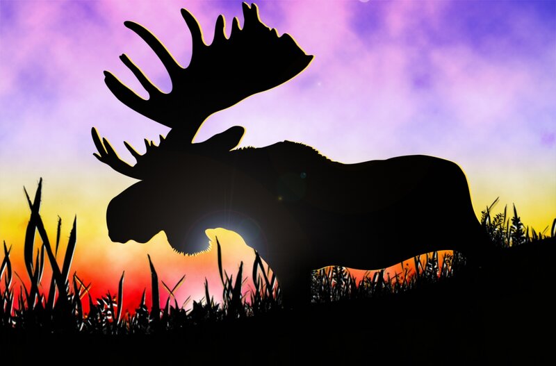 Moose Silhouette