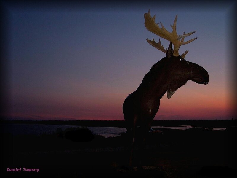 Moose Statue at Dusk — Purple