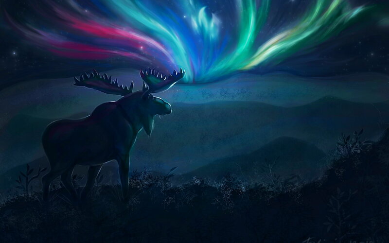 Moose under Aurora