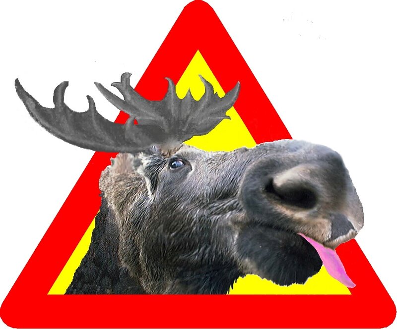 moose warning sign