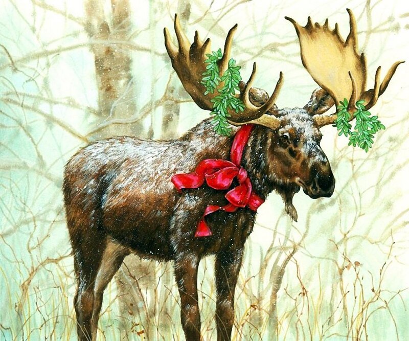 Moose with Red Bow
