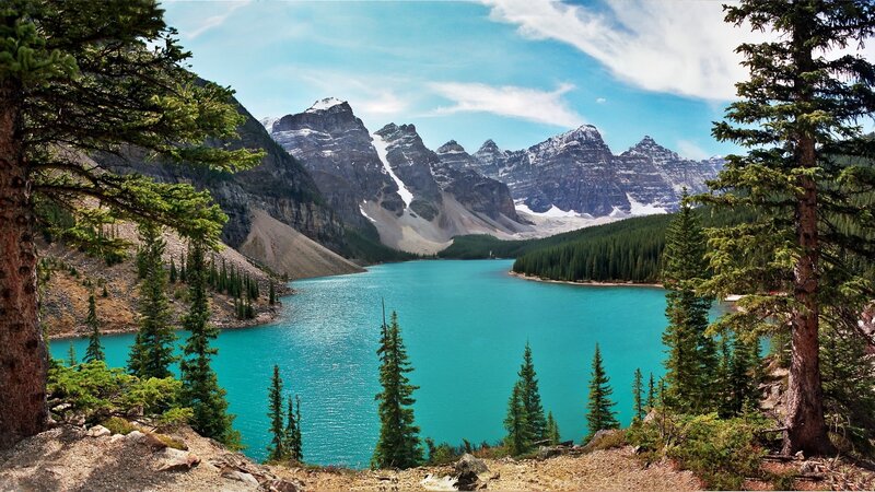 Moraine Lake and Mountains — Blue, Serene, Summer, Photograph, Pine Trees