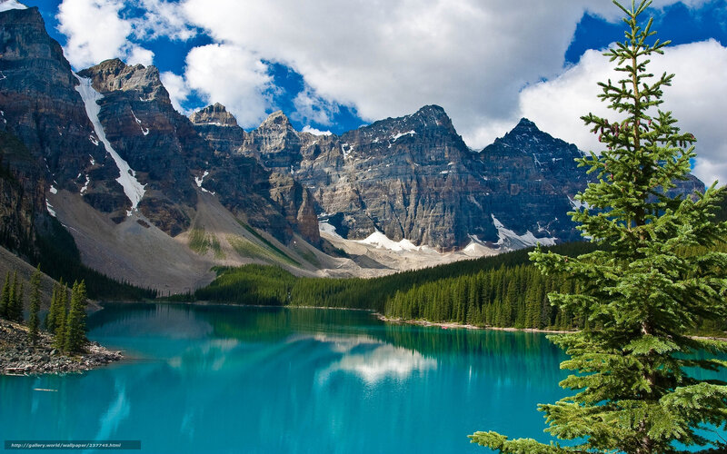 Moraine Lake Landscape — Blue, Serene, Afternoon, Photograph, Mountains, Pine Tree
