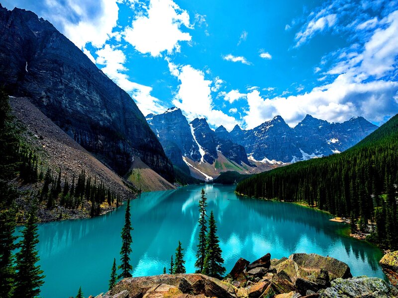 Moraine Lake Landscape — Forest