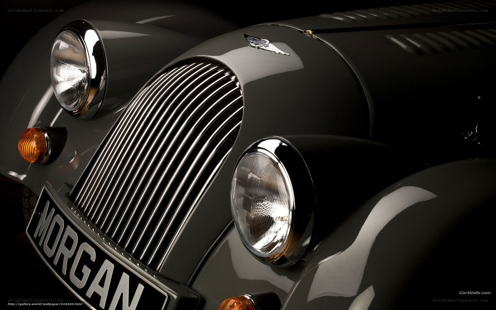 Morgan car front grille
