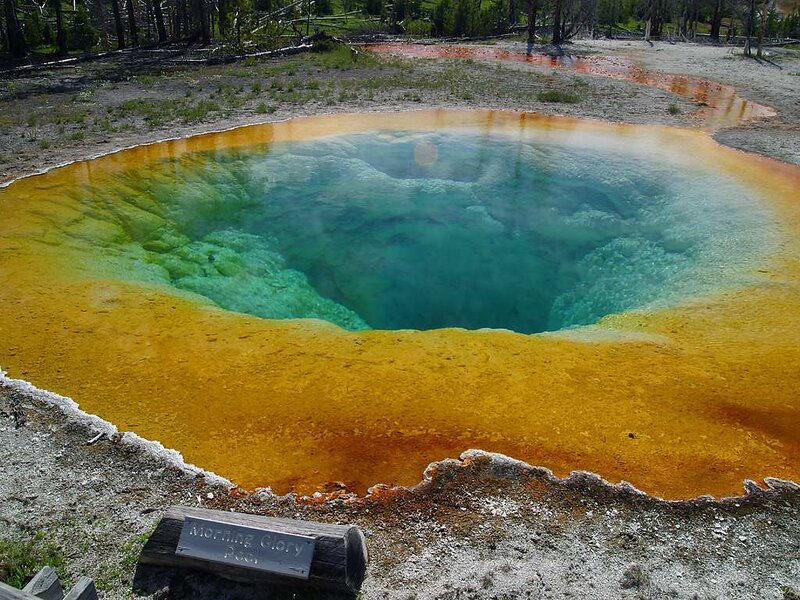 Morning Glory Pool — Yellow
