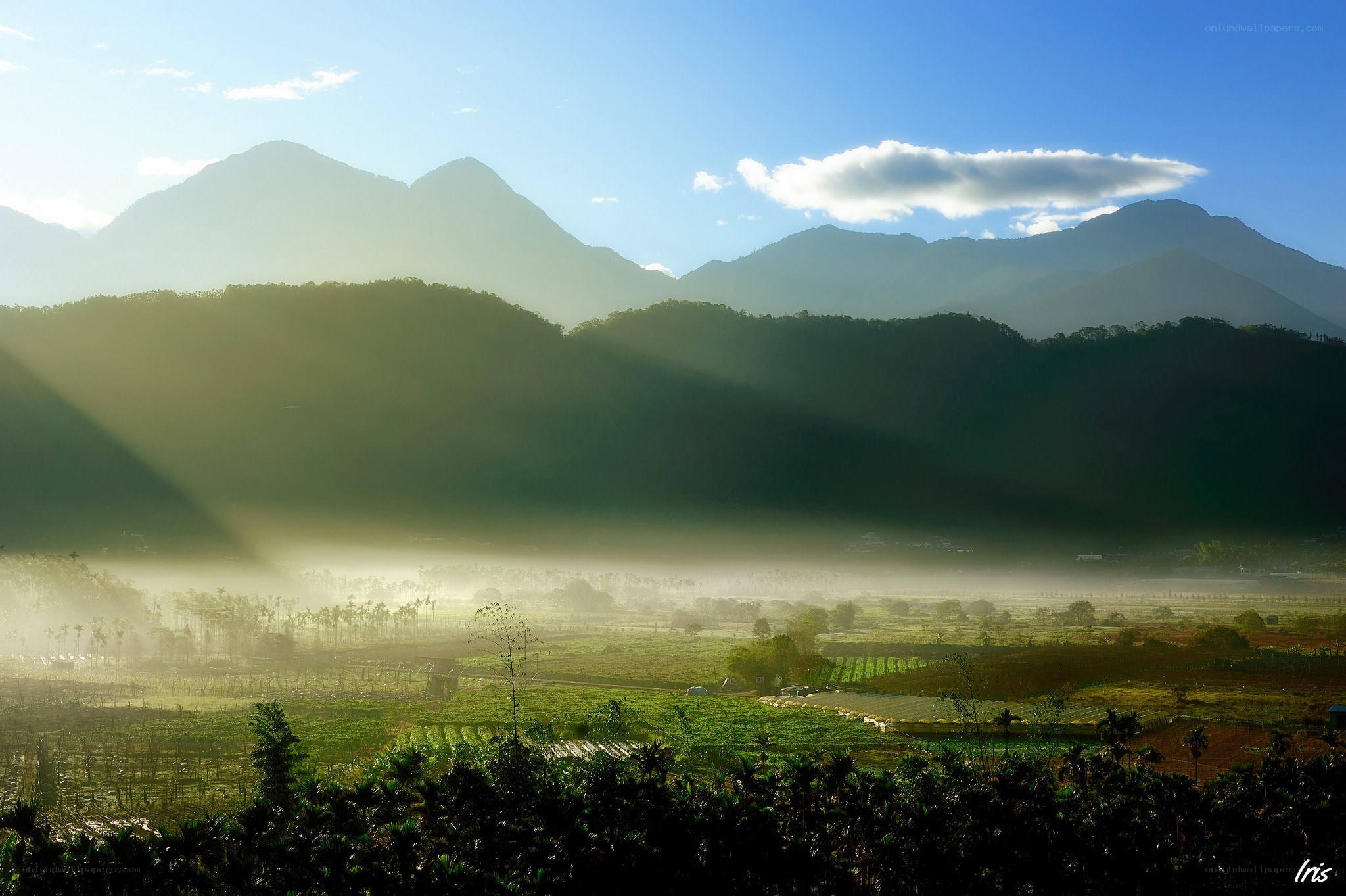 Morning light over mountain valley