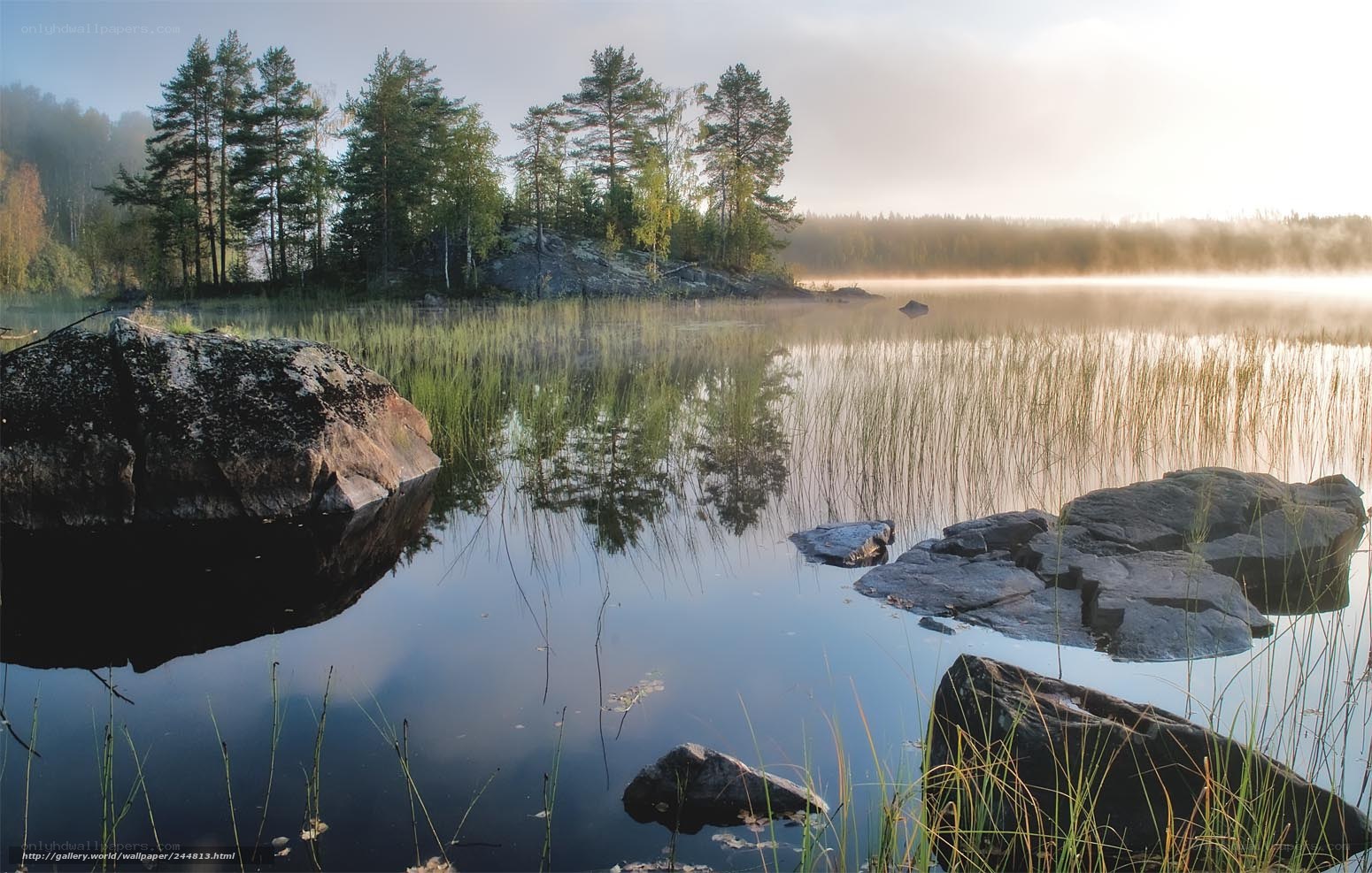 Morning mist over a calm lake