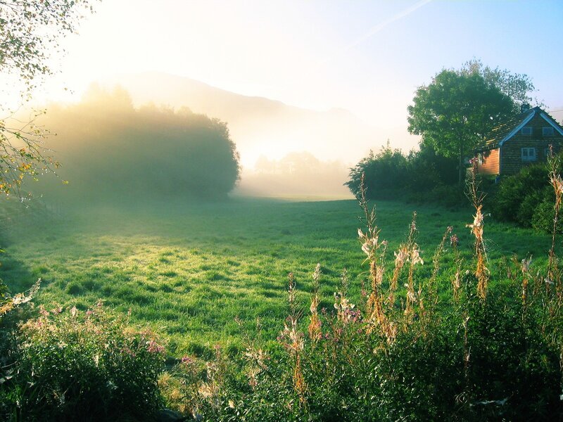 Morning mist over a green field