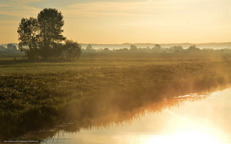 Morning mist over a river