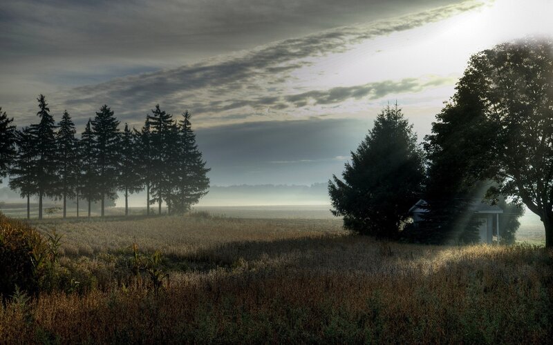 Morning mist over a rural field