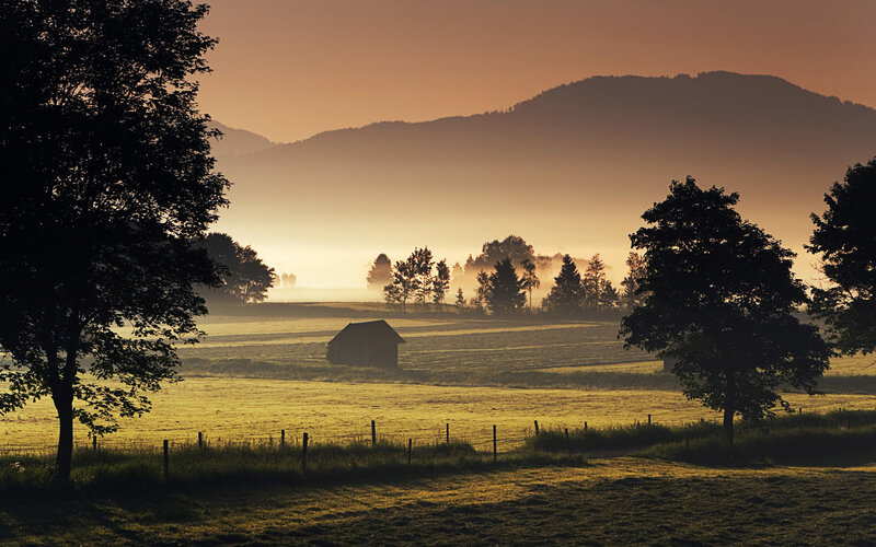 Morning mist over a rural field