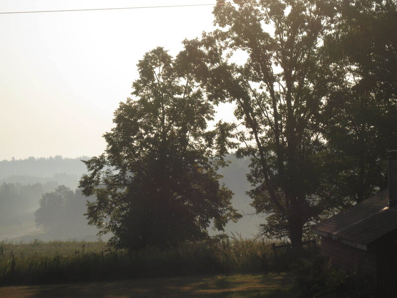 Morning mist over a rural landscape