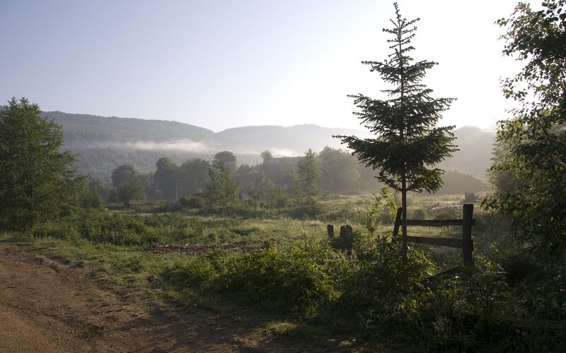 Morning mist over a rural valley