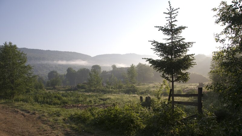 Morning mist over a rural valley