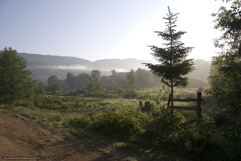 Morning mist over a rural valley