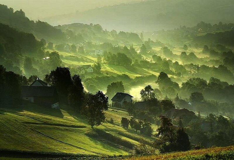 Morning mist over green hills