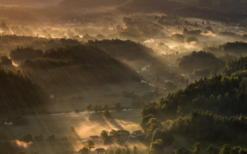 Morning Mist over Hills — Green