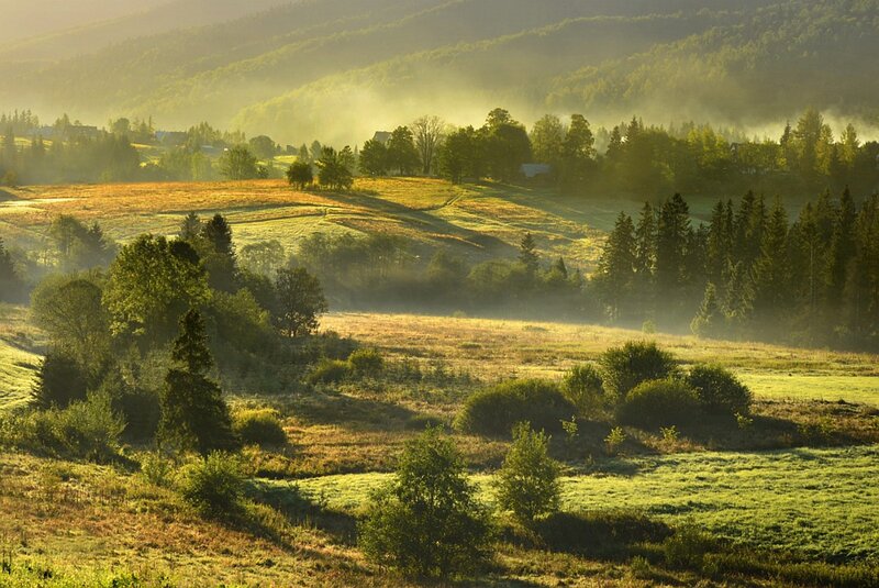 Morning Mist over Hills