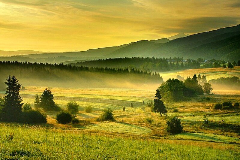 Morning mist over rolling hills