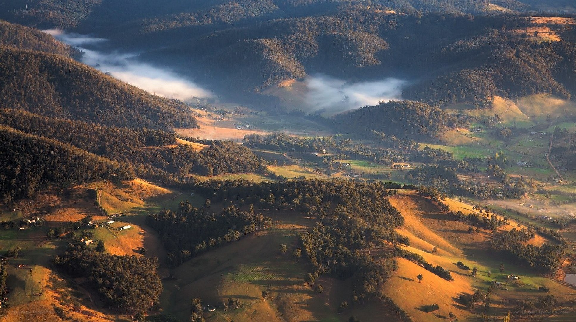 Morning mist over rolling hills
