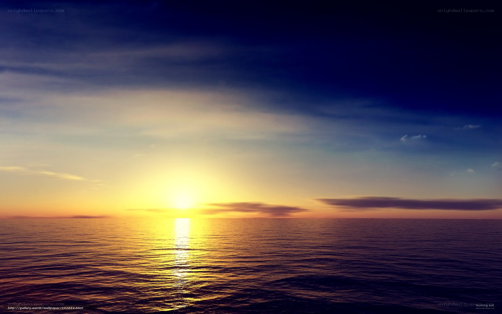Morning sun over the ocean