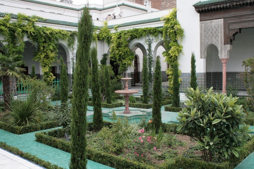 Moroccan courtyard garden
