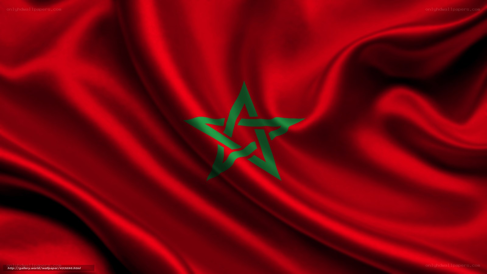 Moroccan flag fabric texture