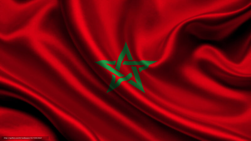 Moroccan Flag Fabric