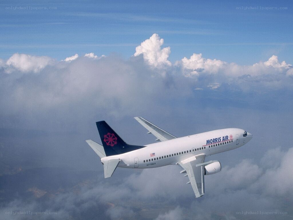 Morris Air airplane in flight