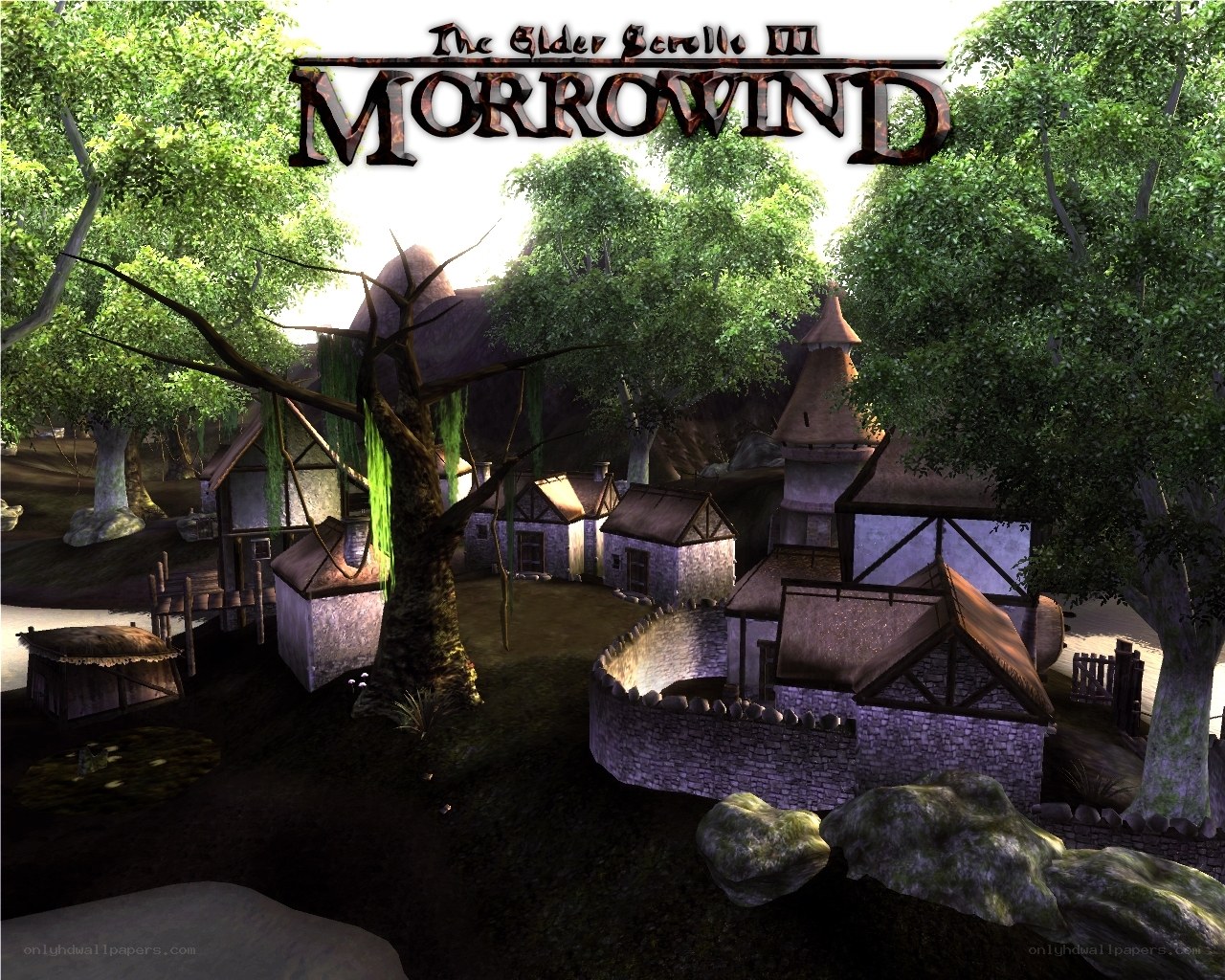 Morrowind village scene