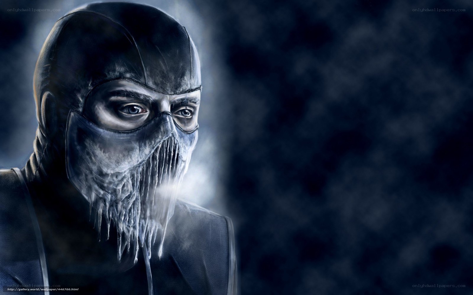 Mortal Kombat character portrait