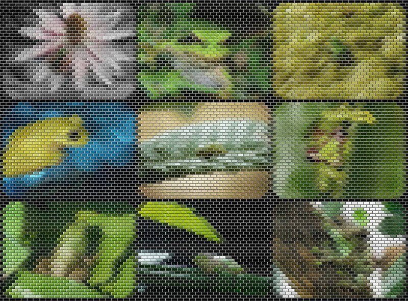 Mosaic of Nature Scenes