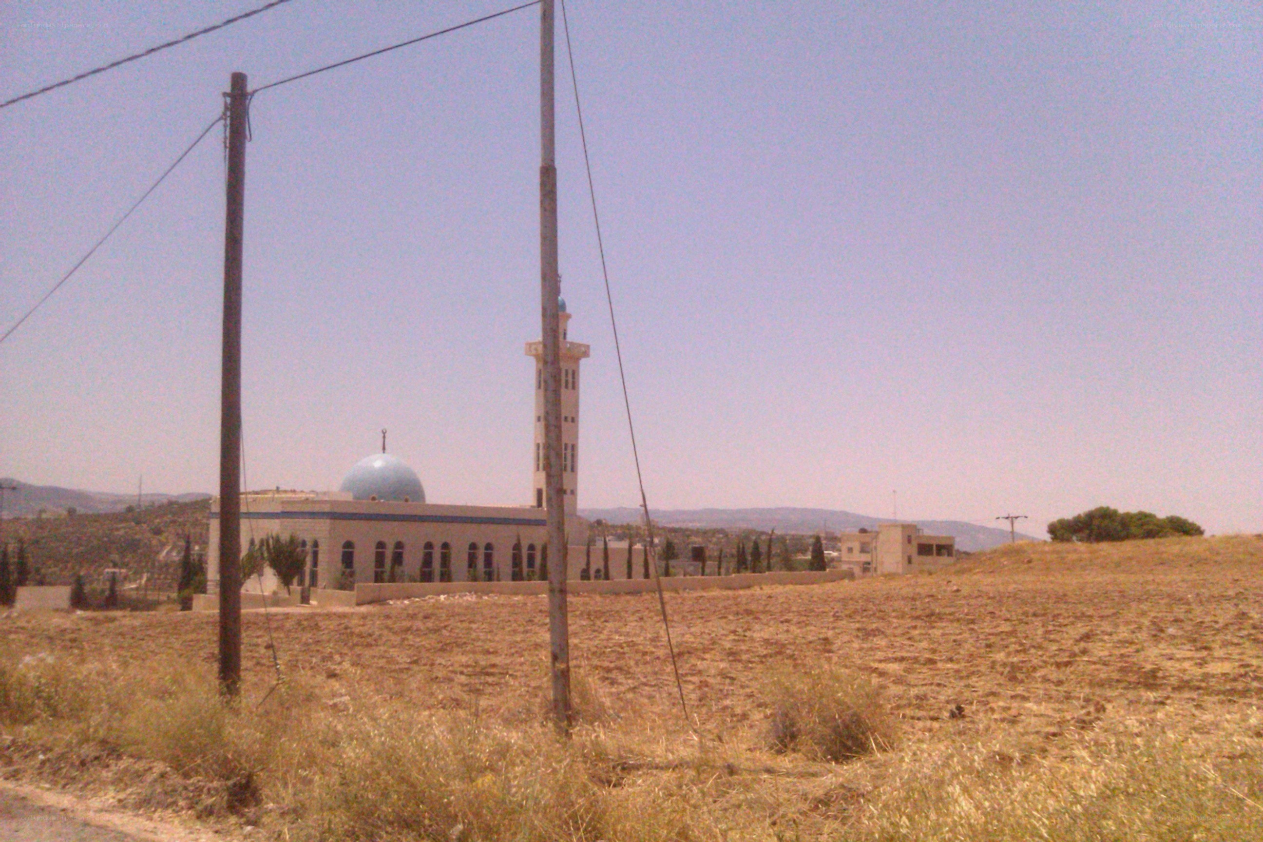 Mosque with blue dome in dry landscape